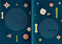 20 000 Meilen unter den Meeren*Coppenrath New