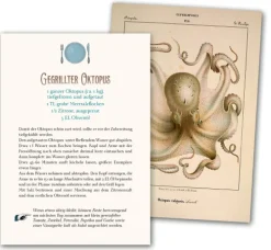 20 000 Meilen unter den Meeren*Coppenrath New