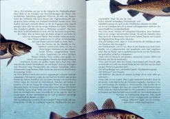 20 000 Meilen unter den Meeren*Coppenrath New