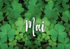 365 Glücksmomente*Pattloch Geschenkbuch Discount