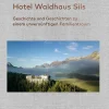 111 Jahre Hotel Waldhaus Sils*Scheidegger & Spiess Sale