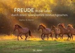 Groh Verlag Mut & Motivation*365 Lichtmomente