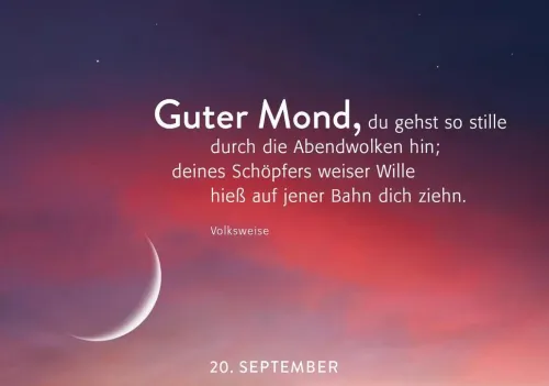 Groh Verlag Mut & Motivation*365 Lichtmomente