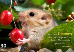 365 mal tierisch gut drauf!*Pattloch Geschenkbuch Best