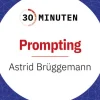 GABAL Verlag GmbH Medienwissenschaft-30 Minuten Prompting