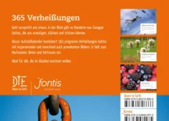 365 Verheißungen*Down to Earth Sale