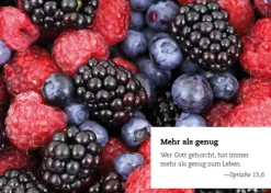 365 Verheißungen*Down to Earth Sale