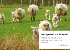 365 Verheißungen*Down to Earth Sale