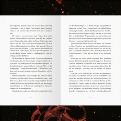 Ravensburger Verlag Romantasy|Romantasy*A Fire in the Sky - Feuerschwur-Chroniken, Band 1