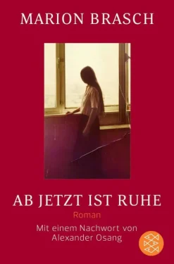 FISCHER Taschenbuch Tagebücher*Ab jetzt ist Ruhe