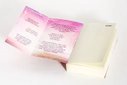 Abendlicht*Heyne Taschenbuch Clearance