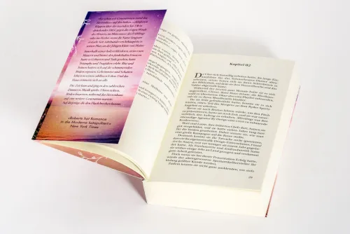 Abendlicht*Heyne Taschenbuch Clearance