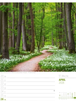 Ackermann Kunstverlag Wochenkalender-Abenteuer Deutschland Wochenplaner Kalender 2026 | Naturparadiese