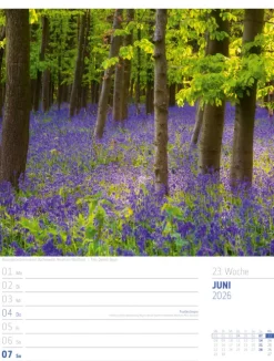Ackermann Kunstverlag Wochenkalender-Abenteuer Deutschland Wochenplaner Kalender 2026 | Naturparadiese