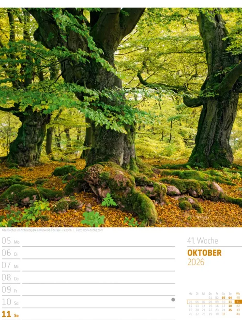 Ackermann Kunstverlag Wochenkalender-Abenteuer Deutschland Wochenplaner Kalender 2026 | Naturparadiese
