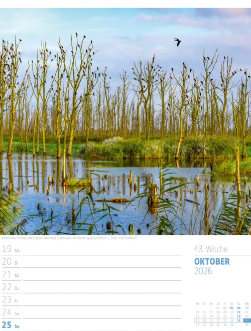 Ackermann Kunstverlag Wochenkalender-Abenteuer Deutschland Wochenplaner Kalender 2026 | Naturparadiese