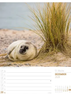 Ackermann Kunstverlag Wochenkalender-Abenteuer Deutschland Wochenplaner Kalender 2026 | Naturparadiese