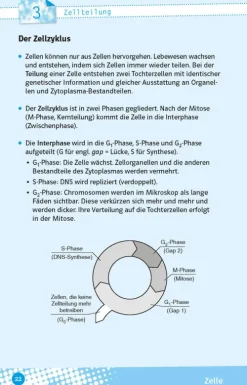 Klett Lerntraining Abi Trainer·Biologie*Abi last minute Biologie