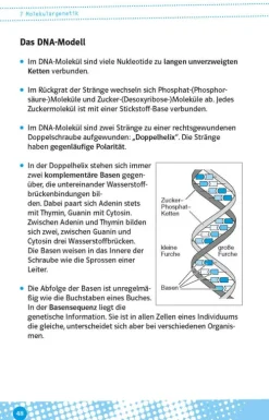 Klett Lerntraining Abi Trainer·Biologie*Abi last minute Biologie