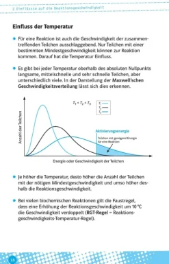 Klett Lerntraining Abi Trainer·Chemie*Abi last minute Chemie