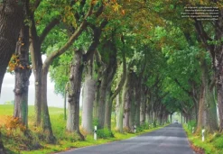 ADAC Reiseführer Wandern & Radfahren*ADAC Roadtrips Mecklenburg-Vorpommern mit Ostseeküste