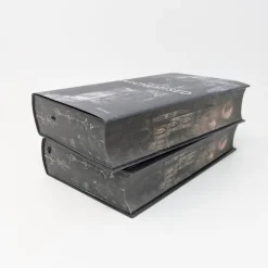 Forever Fantasy*Alchemised English Edition