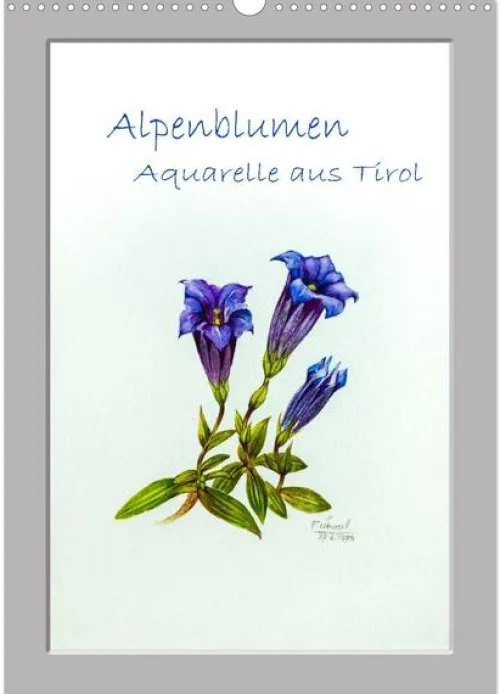 Calvendo Wandkalender*Alpenblumen Aquarelle aus Tirol (Wandkalender 2026 DIN A3 hoch), Monatskalender