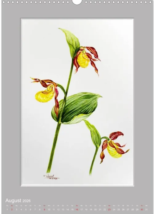 Calvendo Wandkalender*Alpenblumen Aquarelle aus Tirol (Wandkalender 2026 DIN A3 hoch), Monatskalender