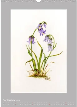 Calvendo Wandkalender*Alpenblumen Aquarelle aus Tirol (Wandkalender 2026 DIN A3 hoch), Monatskalender