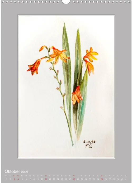 Calvendo Wandkalender*Alpenblumen Aquarelle aus Tirol (Wandkalender 2026 DIN A3 hoch), Monatskalender