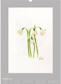Calvendo Wandkalender*Alpenblumen Aquarelle aus Tirol (Wandkalender 2026 DIN A3 hoch), Monatskalender