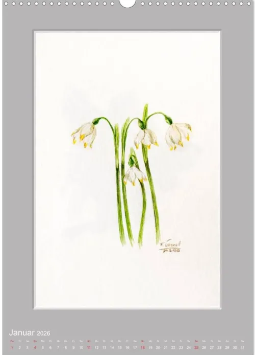 Calvendo Wandkalender*Alpenblumen Aquarelle aus Tirol (Wandkalender 2026 DIN A3 hoch), Monatskalender
