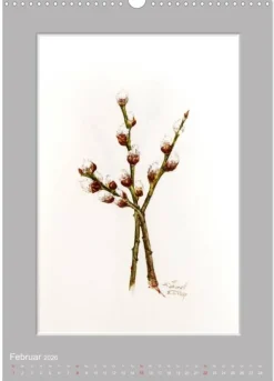 Calvendo Wandkalender*Alpenblumen Aquarelle aus Tirol (Wandkalender 2026 DIN A3 hoch), Monatskalender
