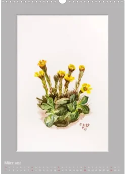 Calvendo Wandkalender*Alpenblumen Aquarelle aus Tirol (Wandkalender 2026 DIN A3 hoch), Monatskalender