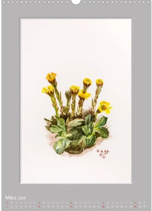 Calvendo Wandkalender*Alpenblumen Aquarelle aus Tirol (Wandkalender 2026 DIN A3 hoch), Monatskalender