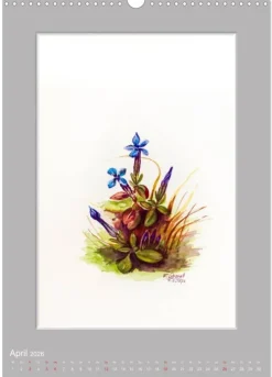 Calvendo Wandkalender*Alpenblumen Aquarelle aus Tirol (Wandkalender 2026 DIN A3 hoch), Monatskalender