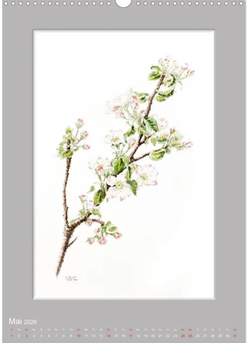 Calvendo Wandkalender*Alpenblumen Aquarelle aus Tirol (Wandkalender 2026 DIN A3 hoch), Monatskalender