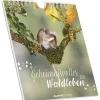 Alpha Edition - Geheimnisvolles Waldleben 2026 - Postkartenkalender 16×17 cm mit 53 Naturmotiven, FSC-zertifiziert, als Tisch- & Wandkalender nutzbar, perforierte Karten zum Verschicken & Sammeln*teNeues Calendars & Stationery GmbH & Co. KG