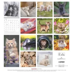 teNeues Calendars & Stationery GmbH & Co. KG Posterkalender-Alpha Edition - Samtpfötchen Kalender 2026 - Wandkalender & Bildkalender 30x30 cm (30x60 cm geöffnet) mit süßen Katzenmotiven, inkl. Poster, für Katzenliebhaber & Tierfreunde