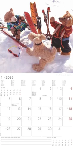 Alpha Edition - Teddy Kalender 2026 - Bildkalender & Wandkalender im Broschürenformat 30×30 cm, aufgeklappt 30×60 cm mit 12 liebevollen Teddy-Motiven & Poster, FSC-zertifiziert*teNeues Calendars & Stationery GmbH & Co. KG Sale