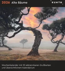 Alte Bäume - KUNTH Postkartenkalender 2026*Kunth Kalender Discount