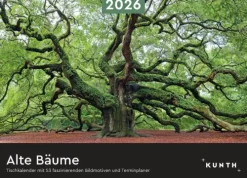 Kunth Kalender Wochenkalender*Alte Bäume - KUNTH Tischkalender 2026
