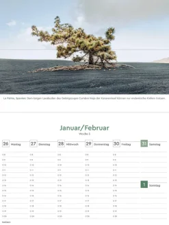 Kunth Kalender Wochenkalender*Alte Bäume - KUNTH Tischkalender 2026