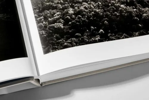 Taschen GmbH Künstler:Innen Im Fokus*Amazônia