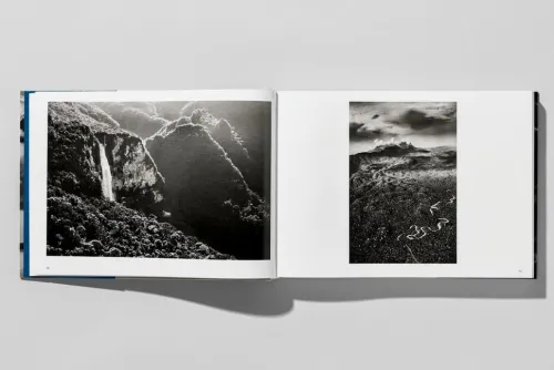 Taschen GmbH Künstler:Innen Im Fokus*Amazônia