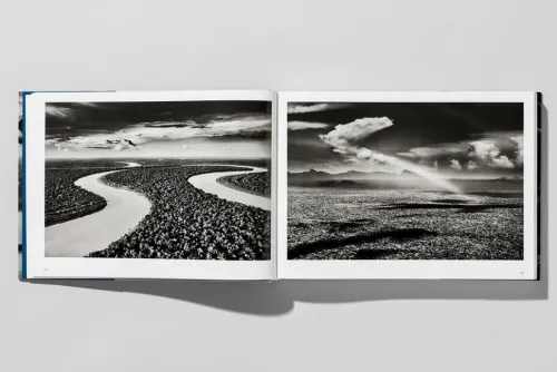 Taschen GmbH Künstler:Innen Im Fokus*Amazônia