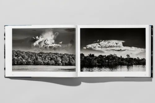 Taschen GmbH Künstler:Innen Im Fokus*Amazônia