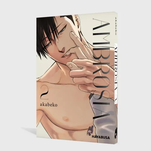 Carlsen Verlag GmbH Love & Romance|Boys Love - Yaoi-Ambrosia 2