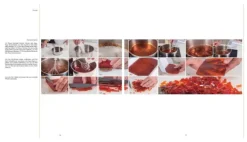 Anarkia*Matthaes Best