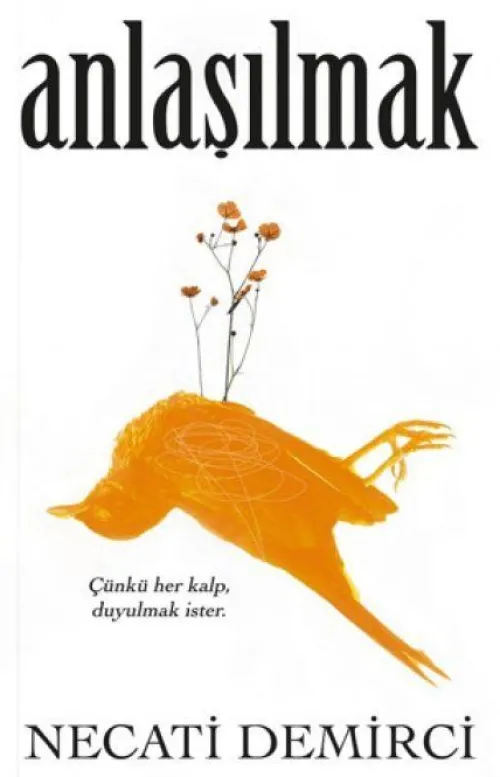 Indigo Kitap Türkische Bücher-Anlasilmak